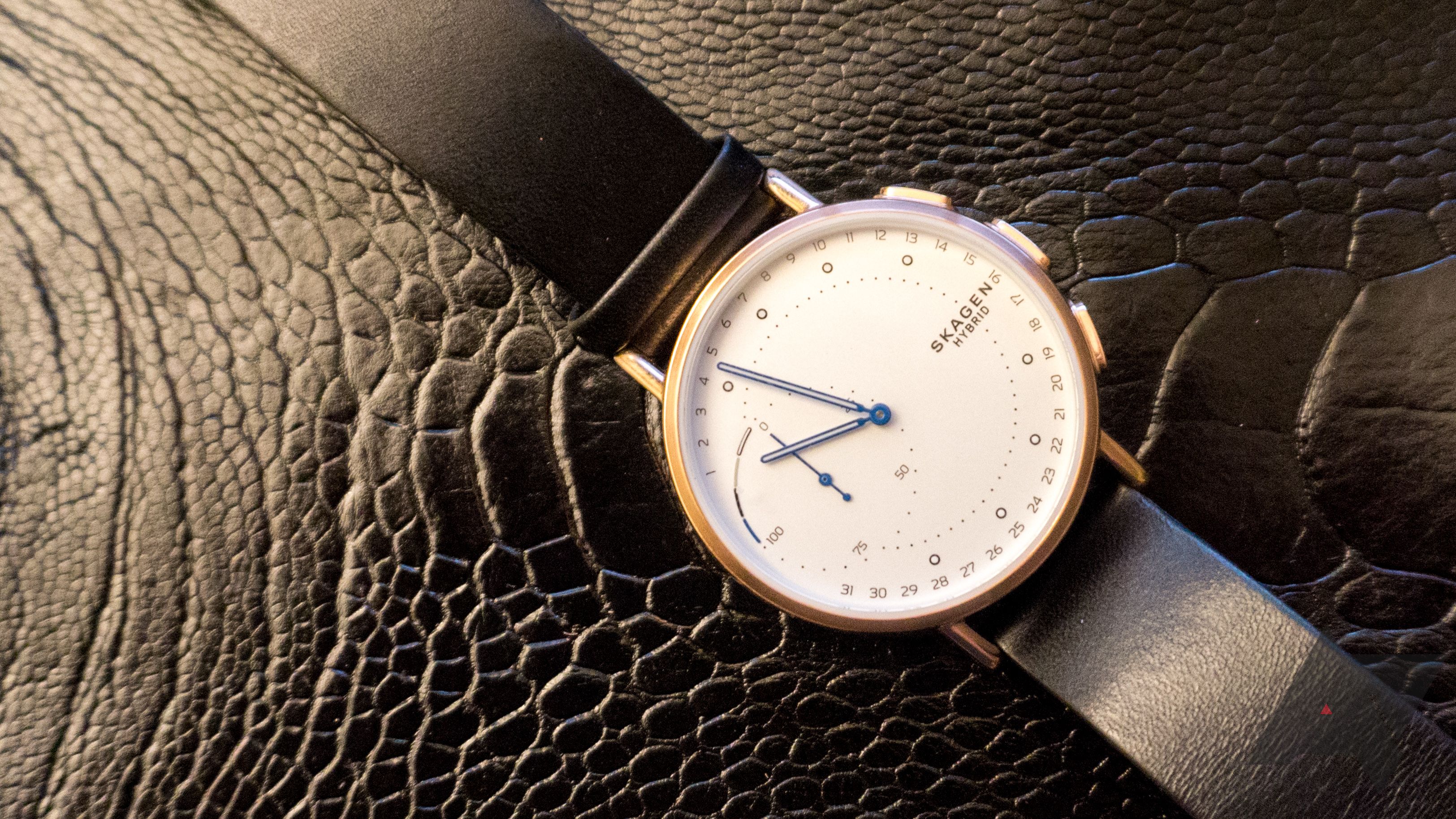 Krønike Chip Bageri Skagen Connected Signatur Hybrid review: Limited smartwatch functionality  in an attractive package