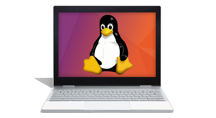 The Linux penguin wallpaper on a Chromebook