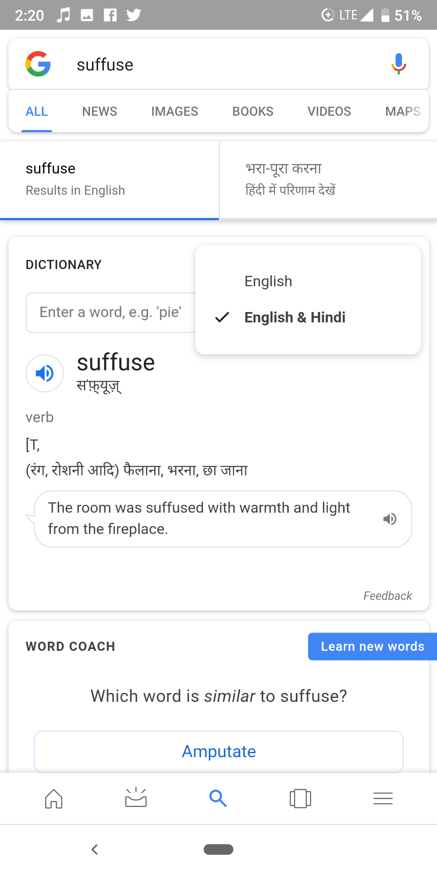 Google Search in India starts showing dictionary definitions in both