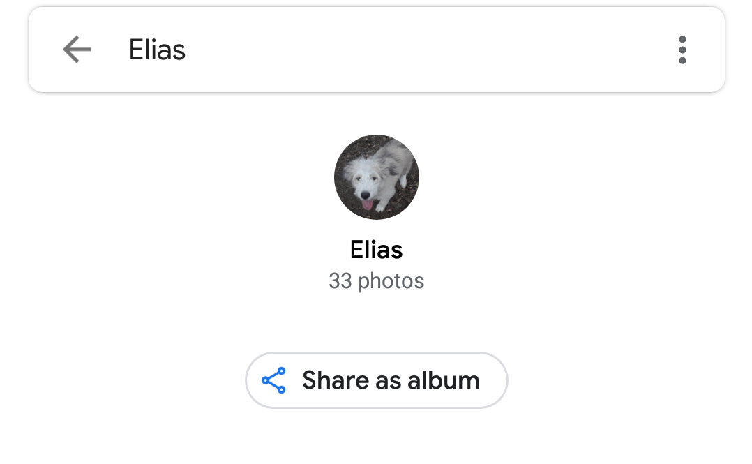 Google Photos rolling out new live album sharing button for 'People and ...