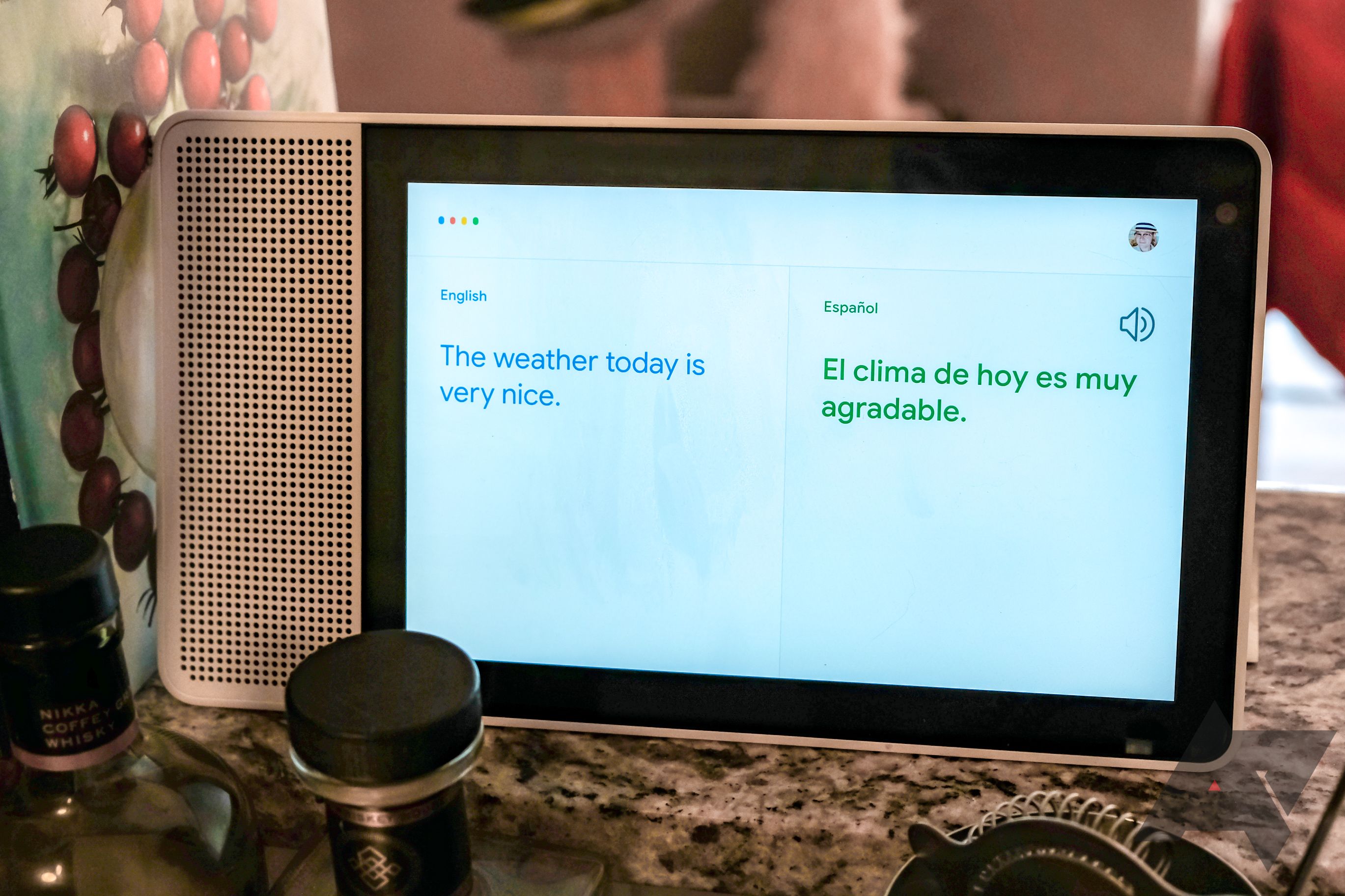 Screenshot shows the interpreter screen on a Google smart home system display.