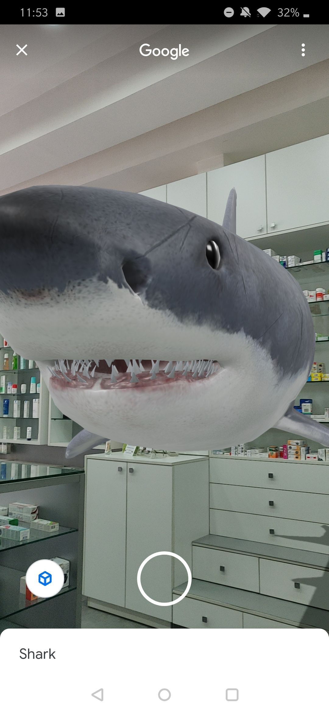 sharks 3d google sharks 3d google