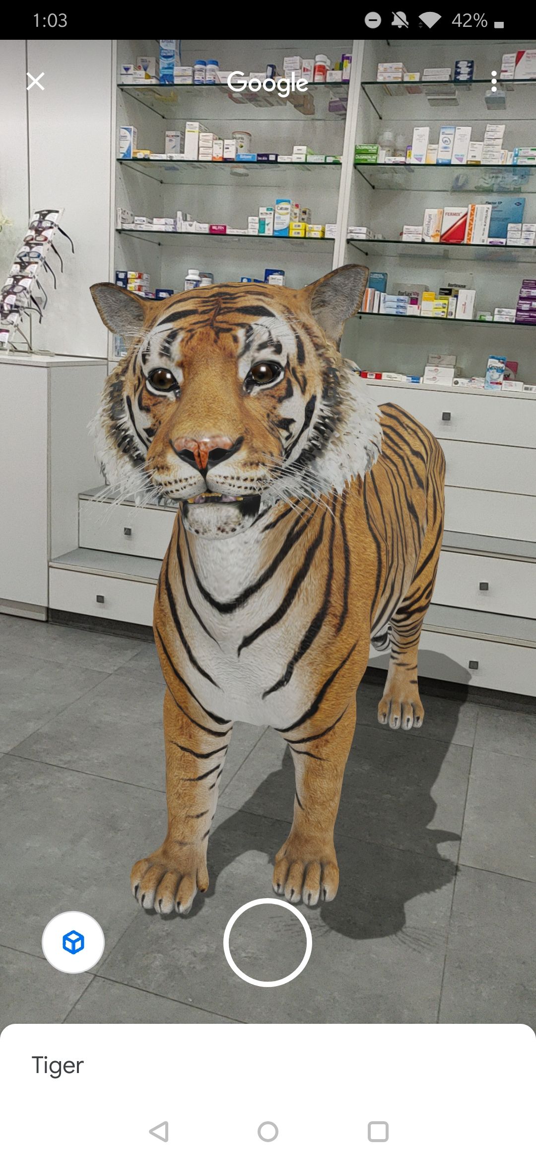 Put a shark or panda in your living room with Google Search's new AR 3D ...