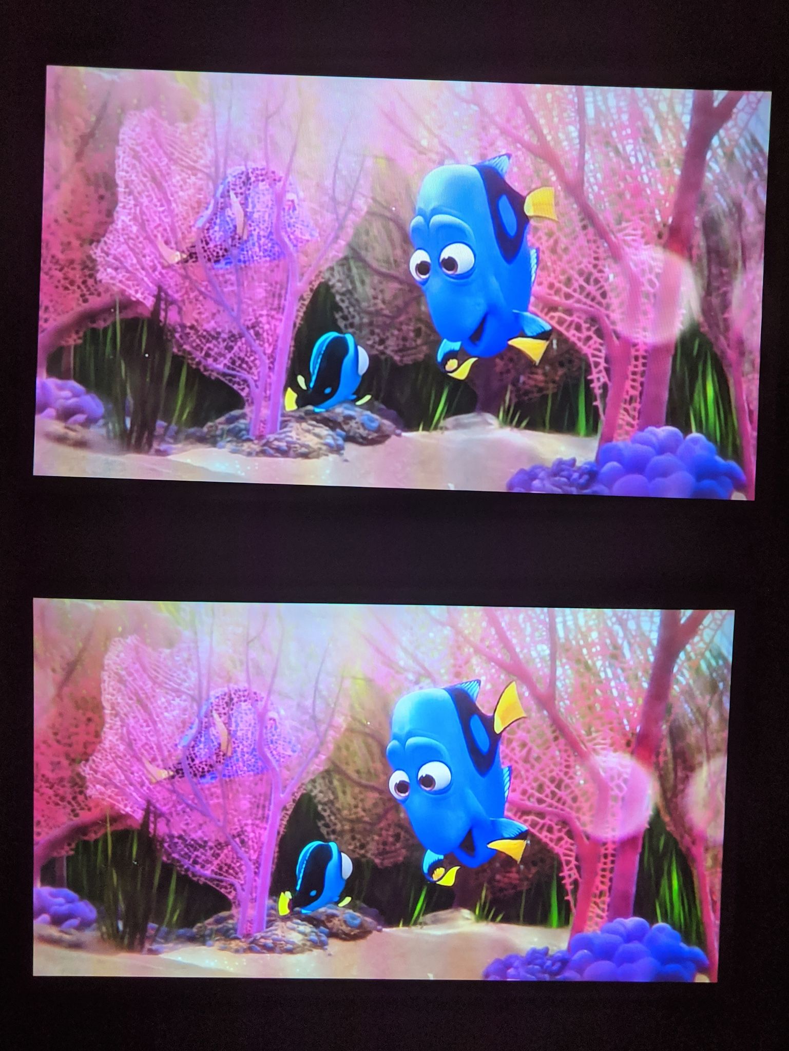 XGIMI MoGo Pro review A convenient but expensive 1080p portable