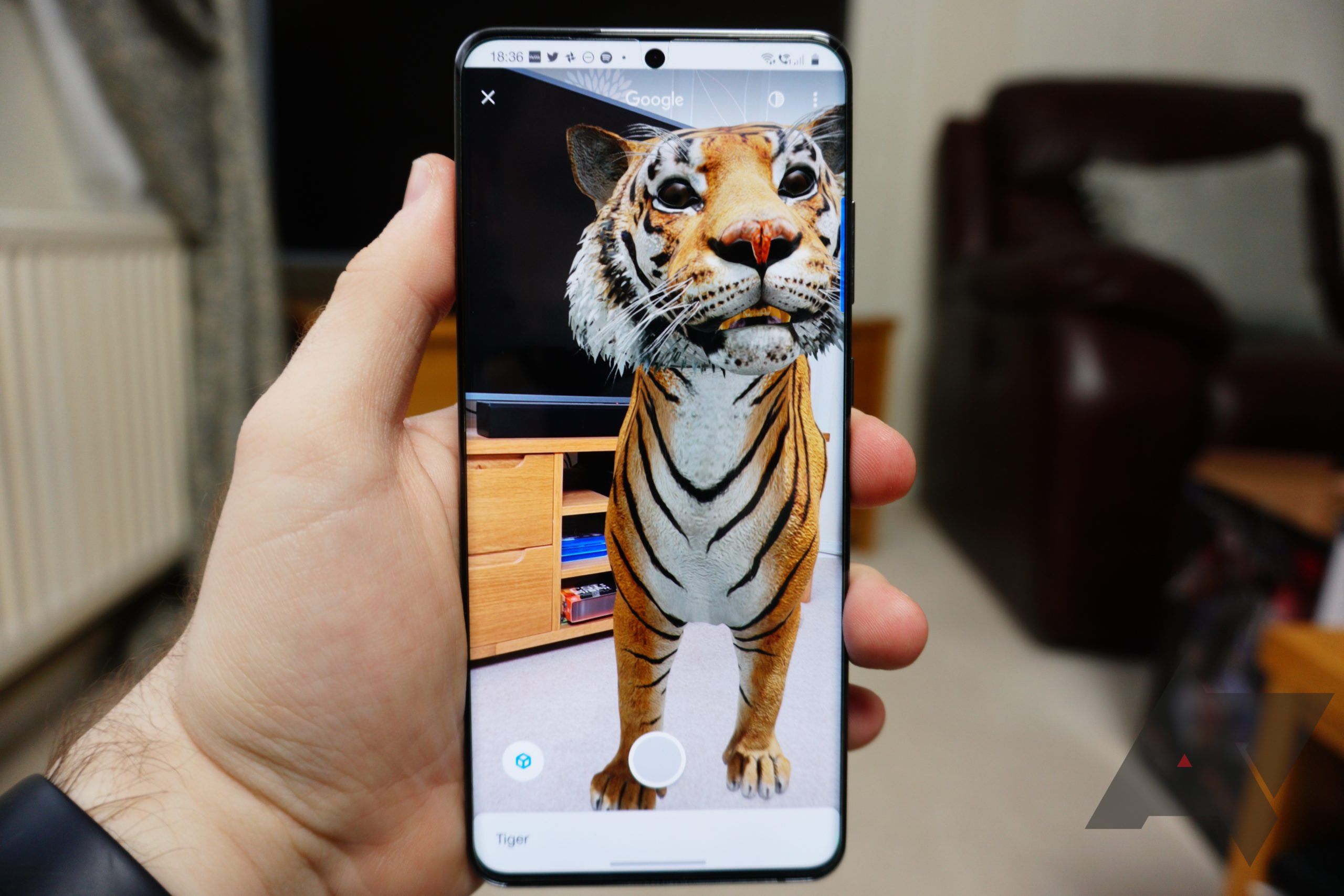 An AR image of a tiger displayed on a phone screen