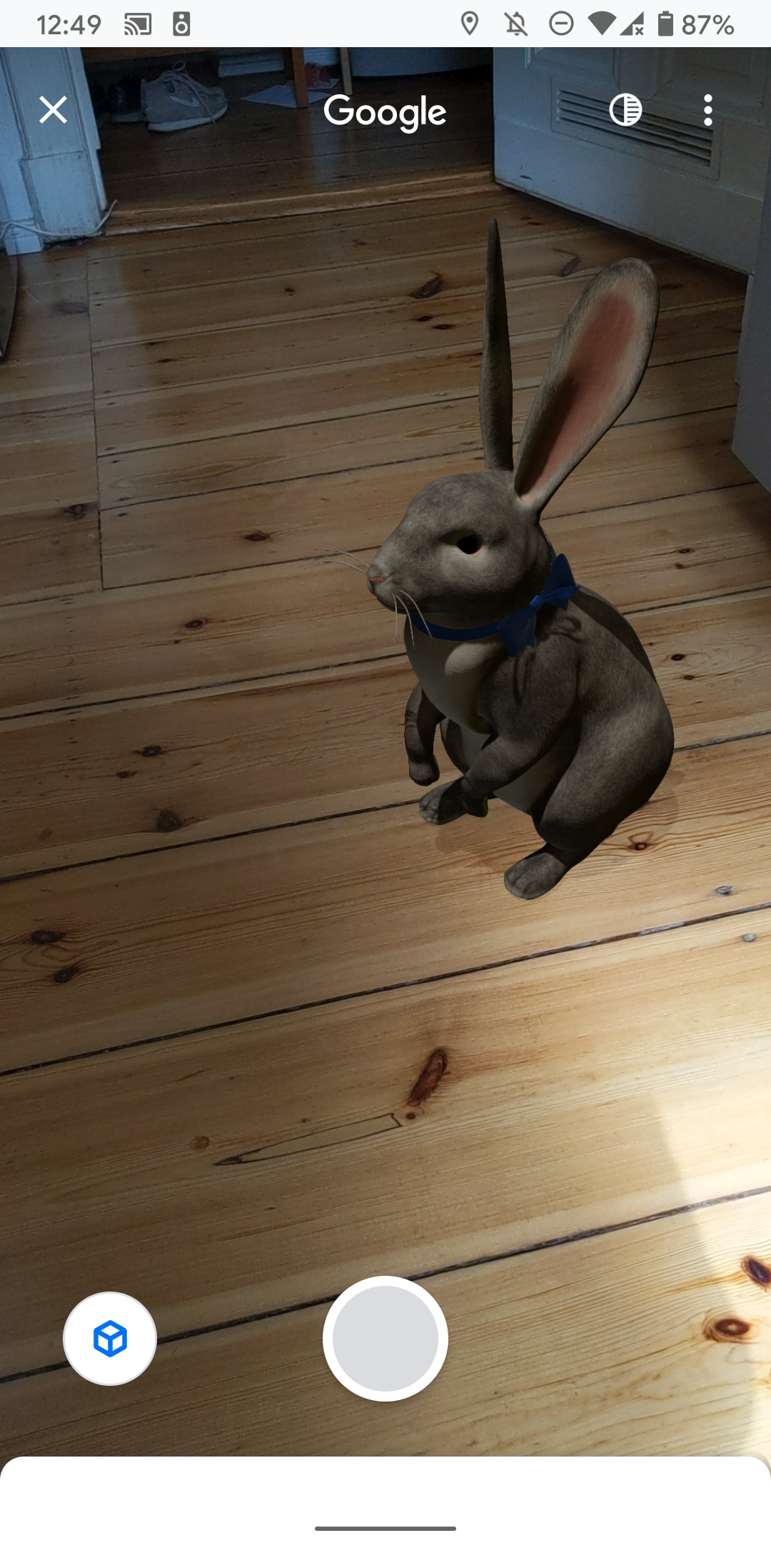 3d Cardboard Rabbit Cardboard Animals Cardboard Cutout Youtube