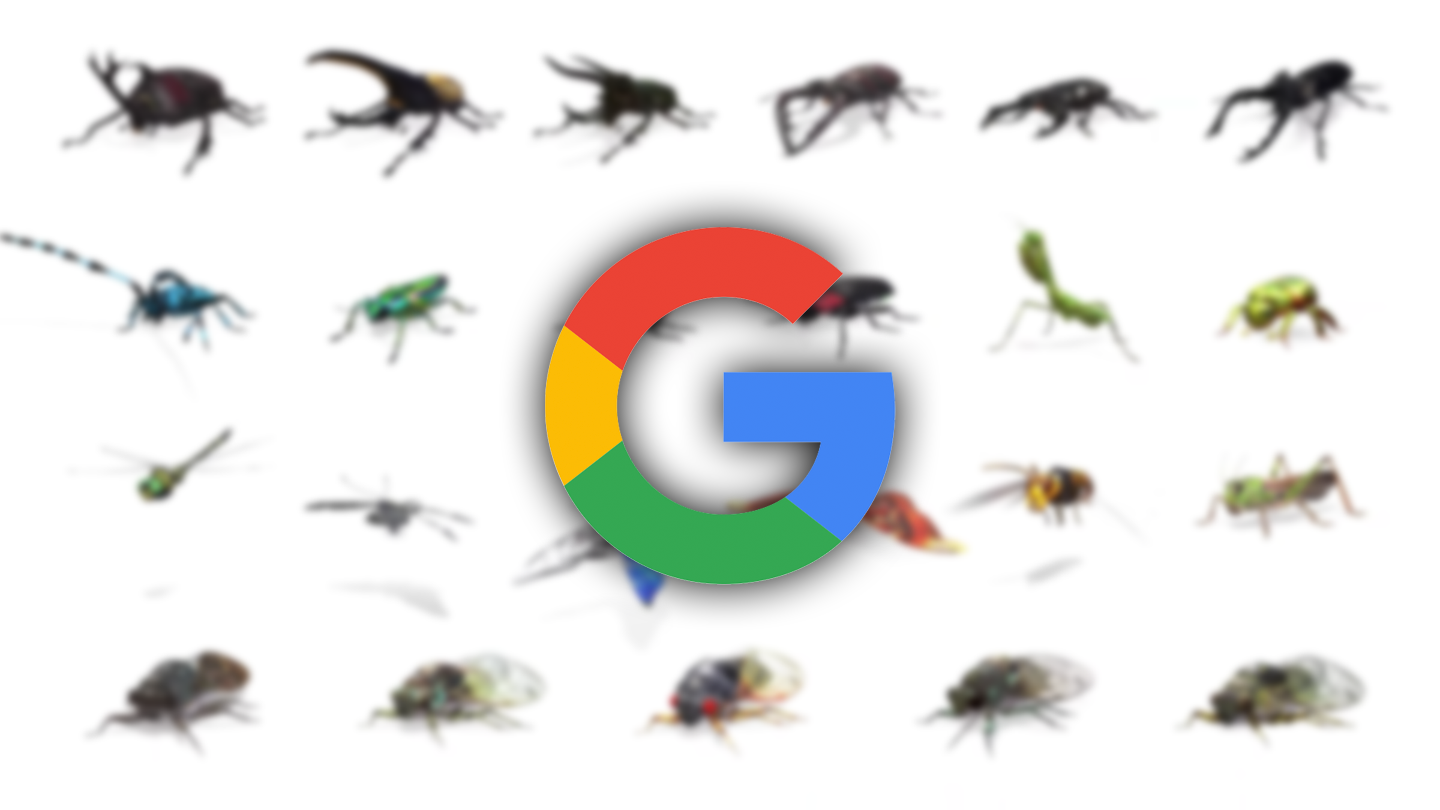 Google AR animals now include 23 beetles, butterflies, cicadas, and other insects