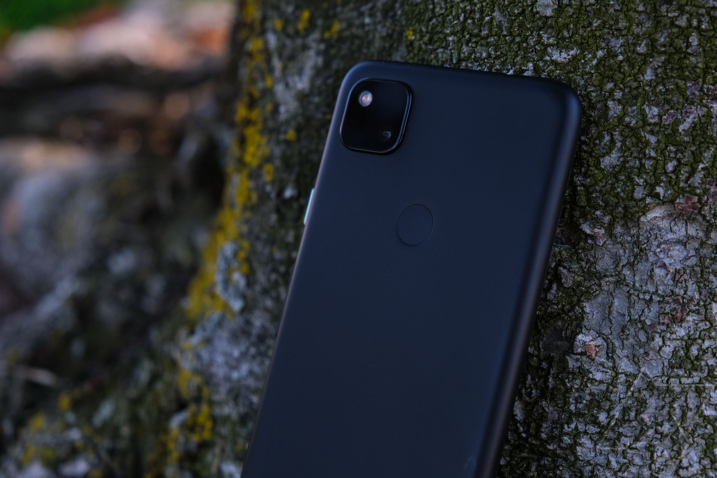 A Google Pixel 4a leaning against a tree