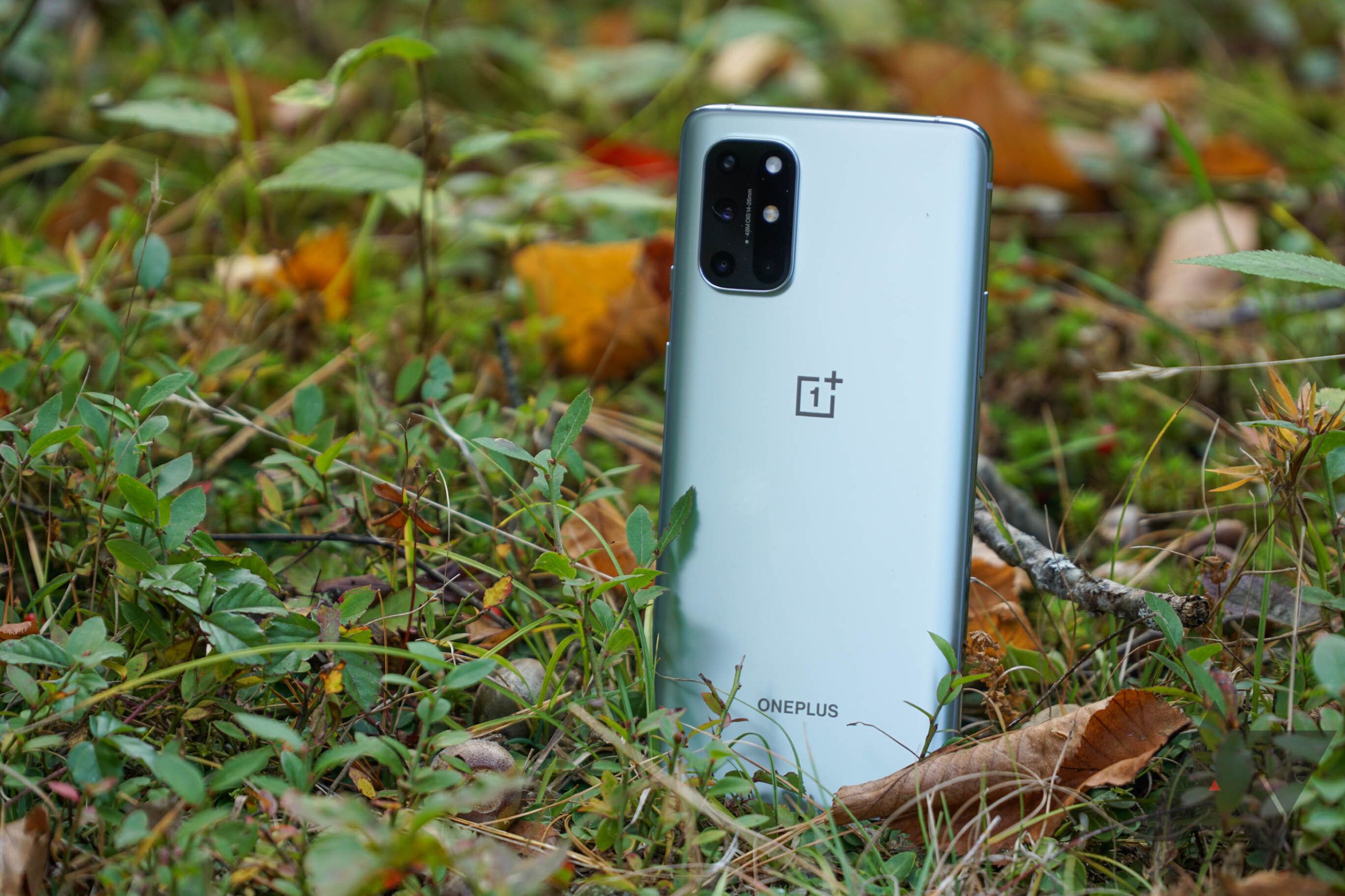 OnePlus 8T Review: One of the Best Phones You Shouldn't Buy