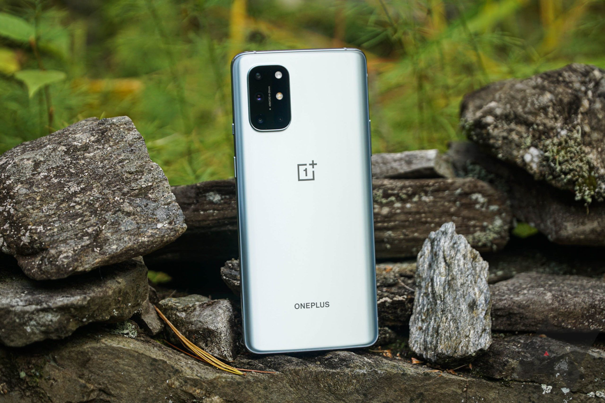OnePlus 8T Long-Term Review: Teaching An Old Dog Old Tricks