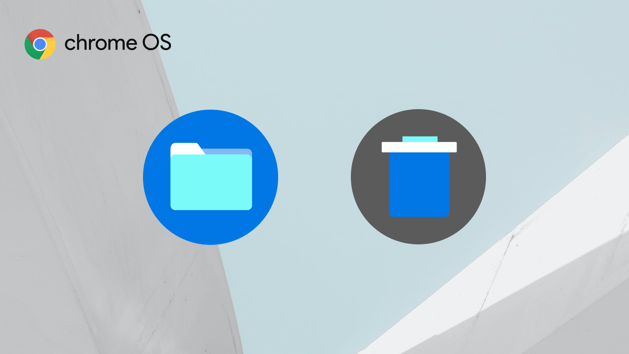 A file icon and a trash can icon on top of a Chrome OS background