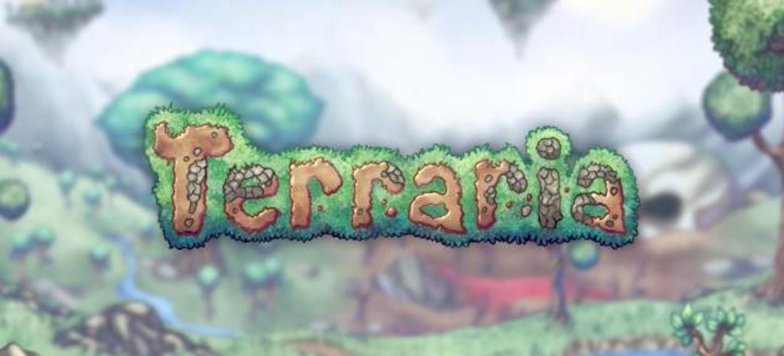 Terraria' Turns 10: Indie Developer Reflects on Hit Video Game