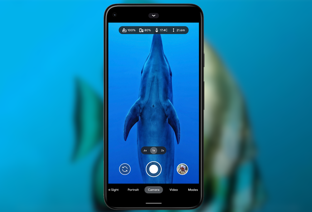 pixel 5 underwater case