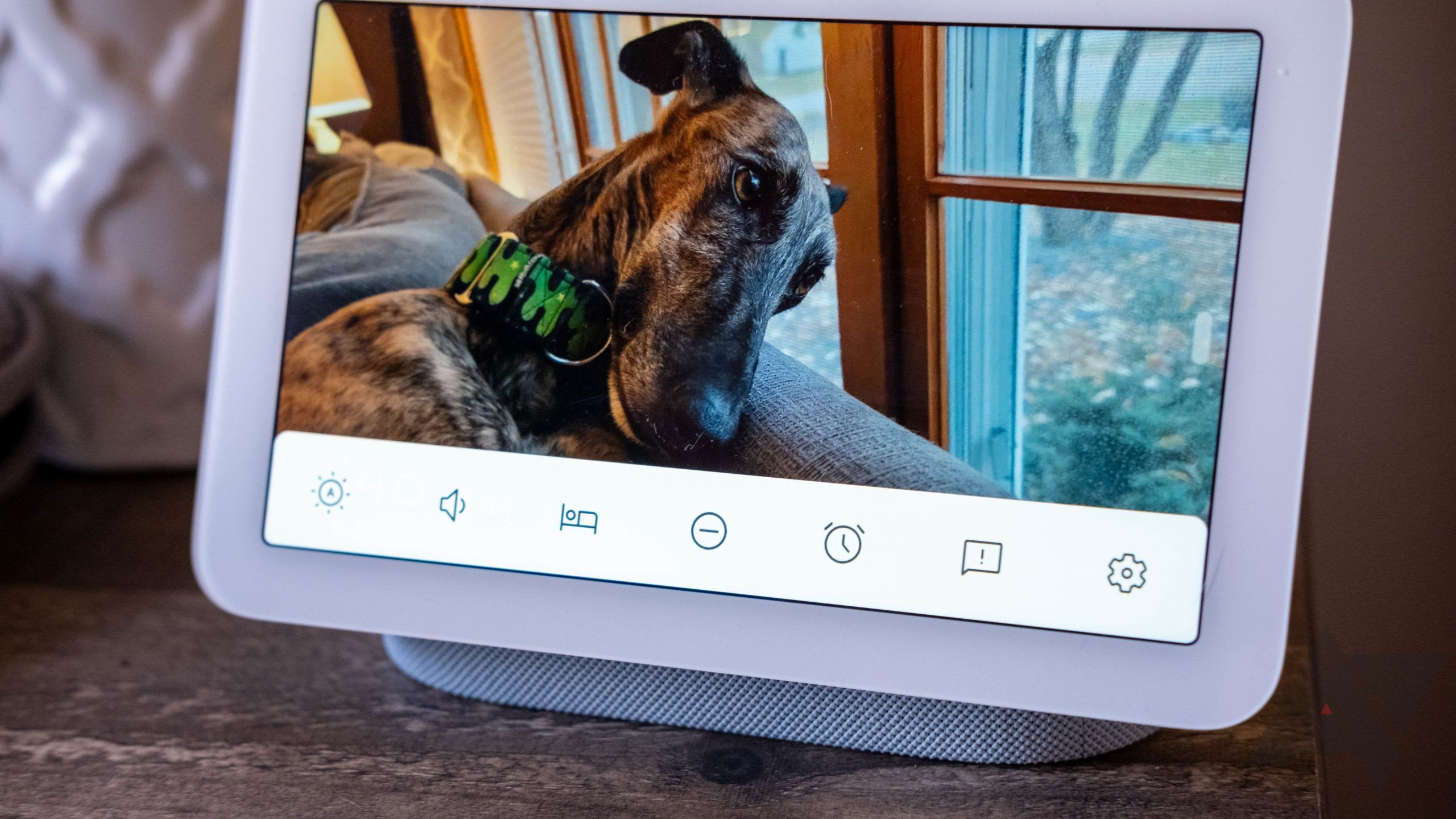 Google Nest Hub (2nd gen) review: A great smart display and mediocre sleep  tracker