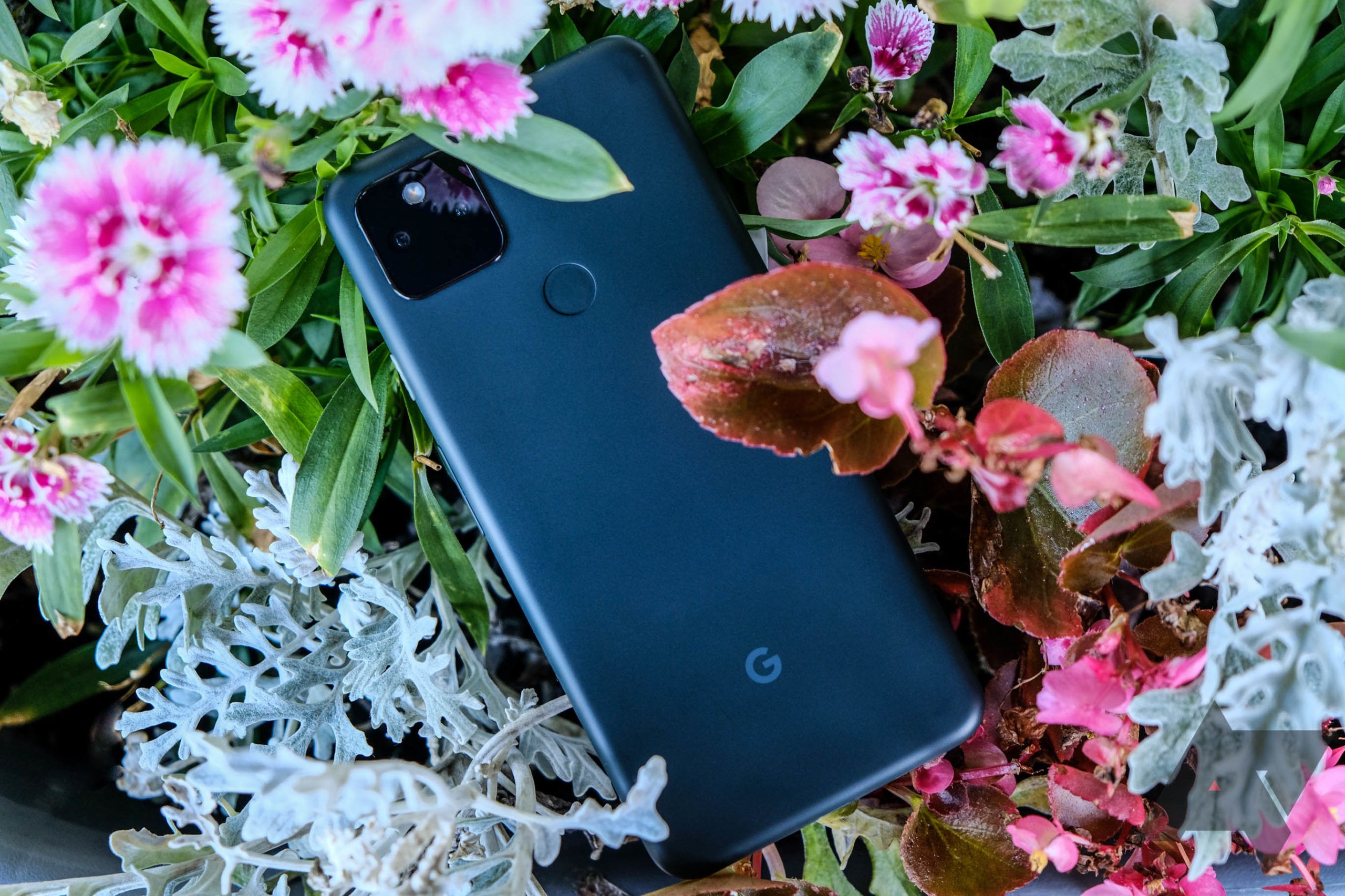 A Google Pixel 5a nestled in some flowers