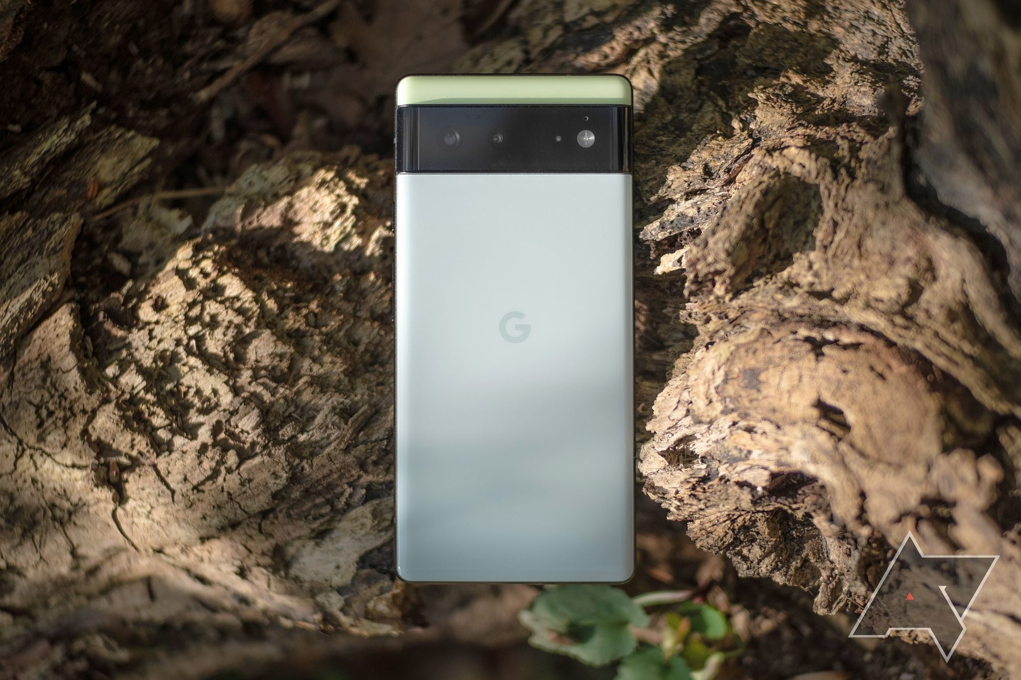 Google Pixel 5 Review: Modest Power, Flagship Perks