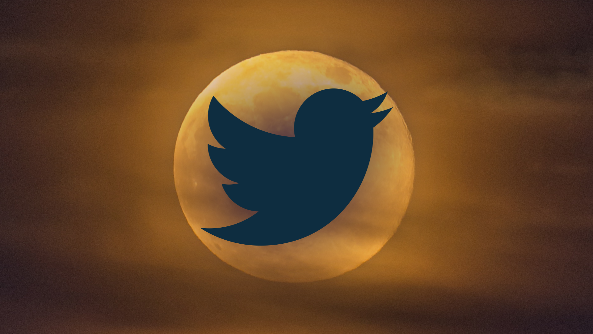 The old Twitter logo against a brown background simulating the sunset