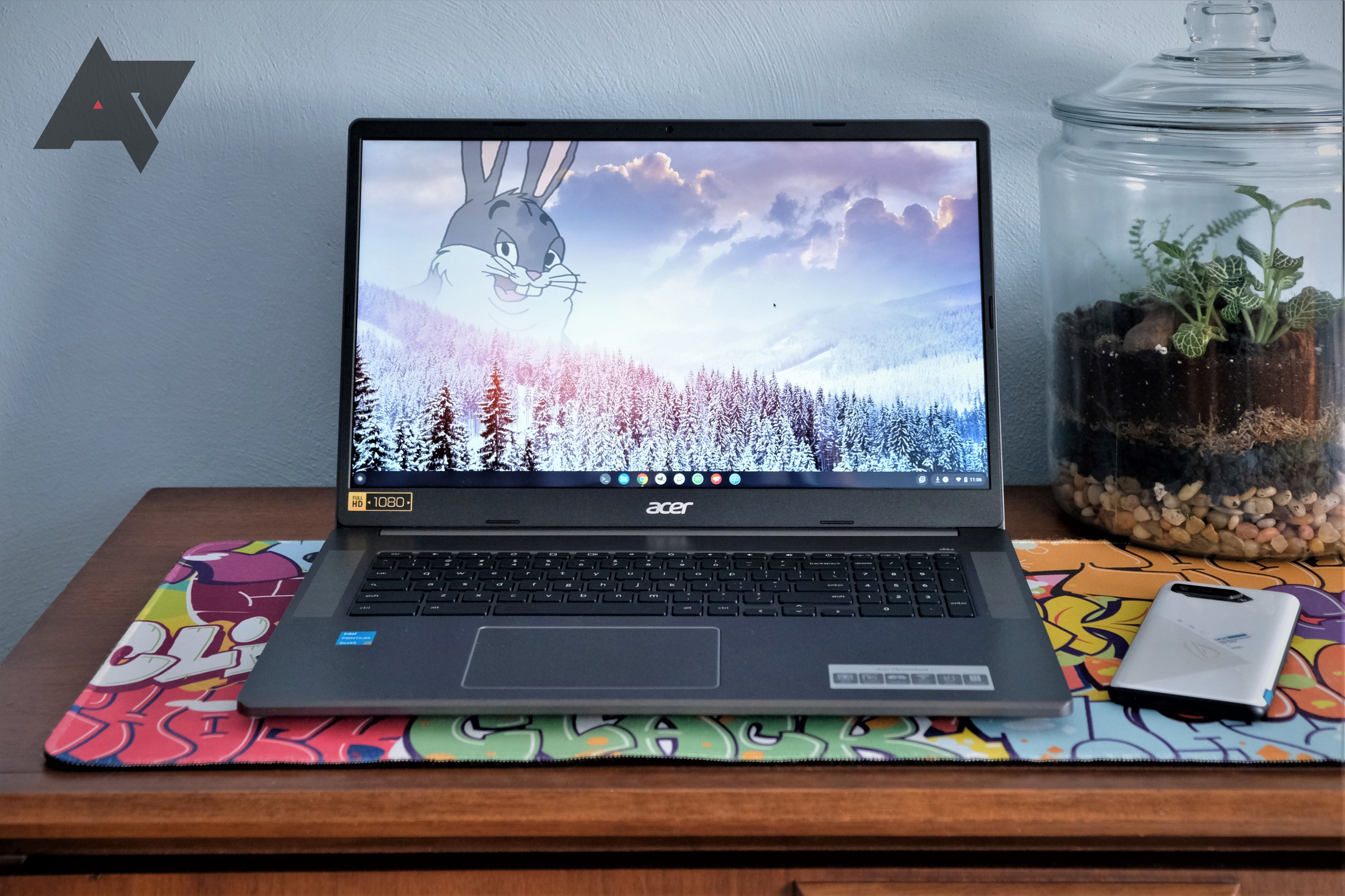Acer Chromebook 317 review bump