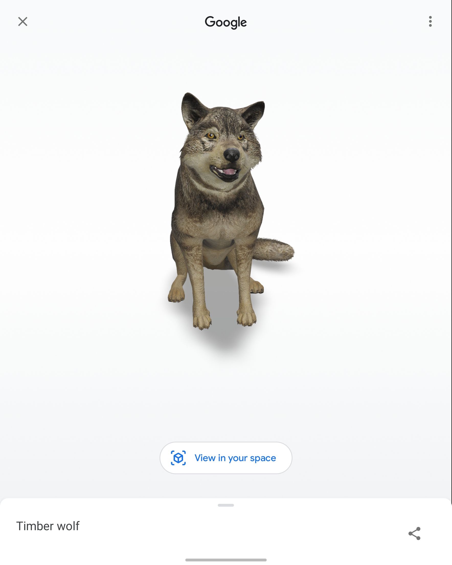 Screenshot of an AR wolf generated by Google