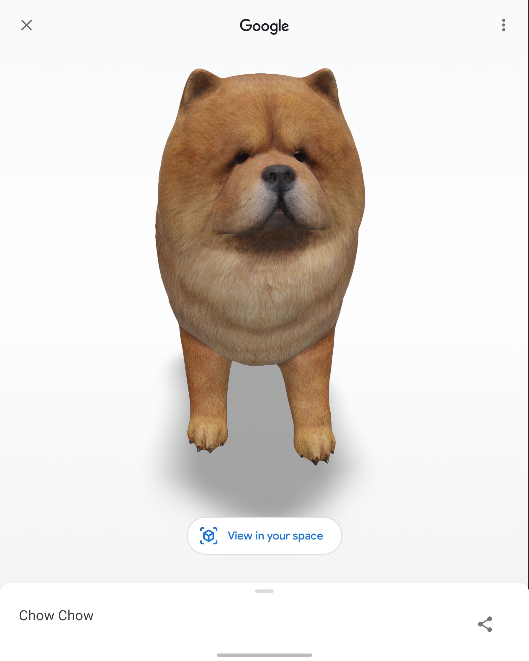 Screenshot of an AR dog generated by Google
