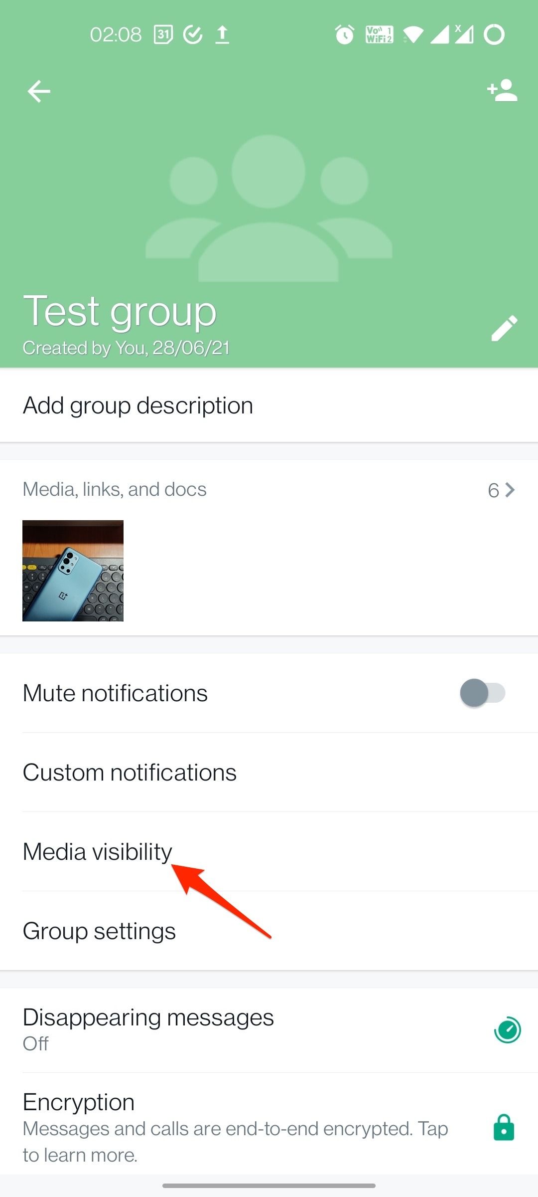 WhatsApp group chat settings showing media visibility option