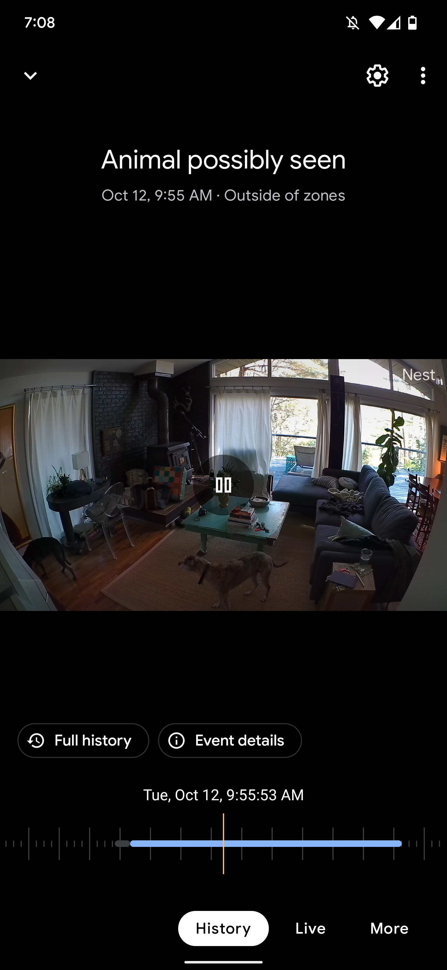 Nest 2024 camera zones