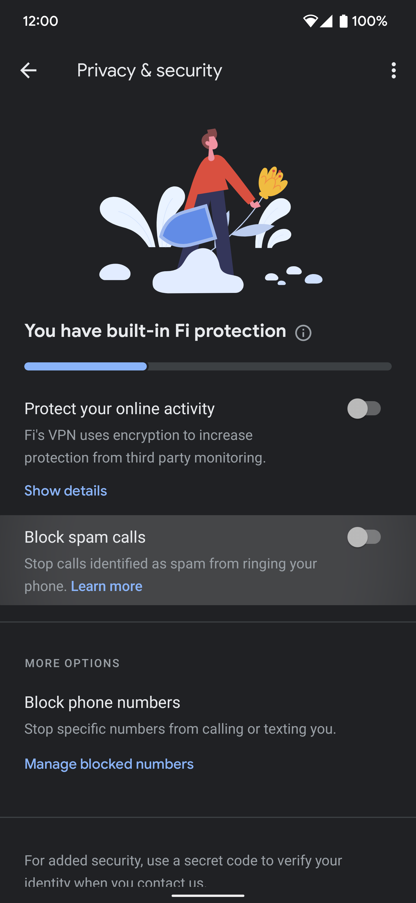 A screenshot showing Google Fi feature options