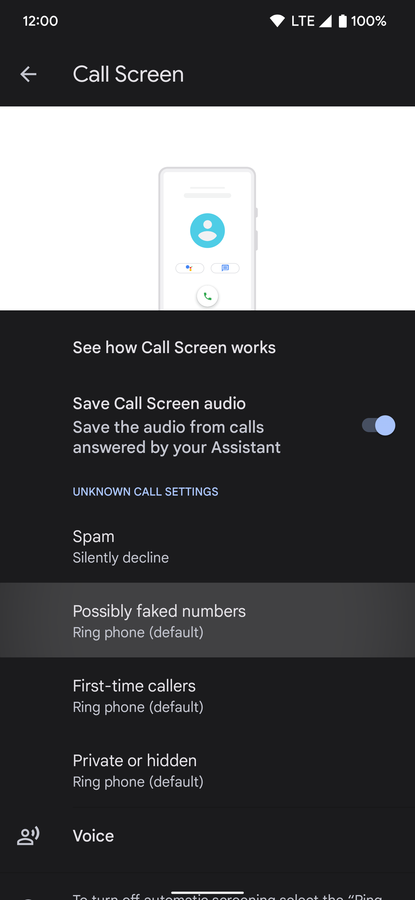 pixel phone call screen settings
