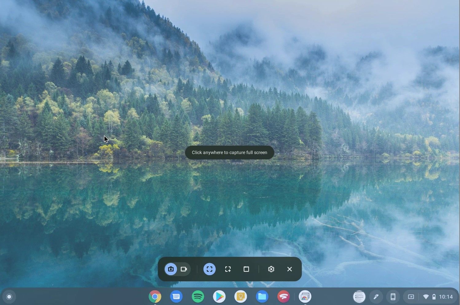 The Chrome OS Screen Capture tool for fullscreen screenshot.