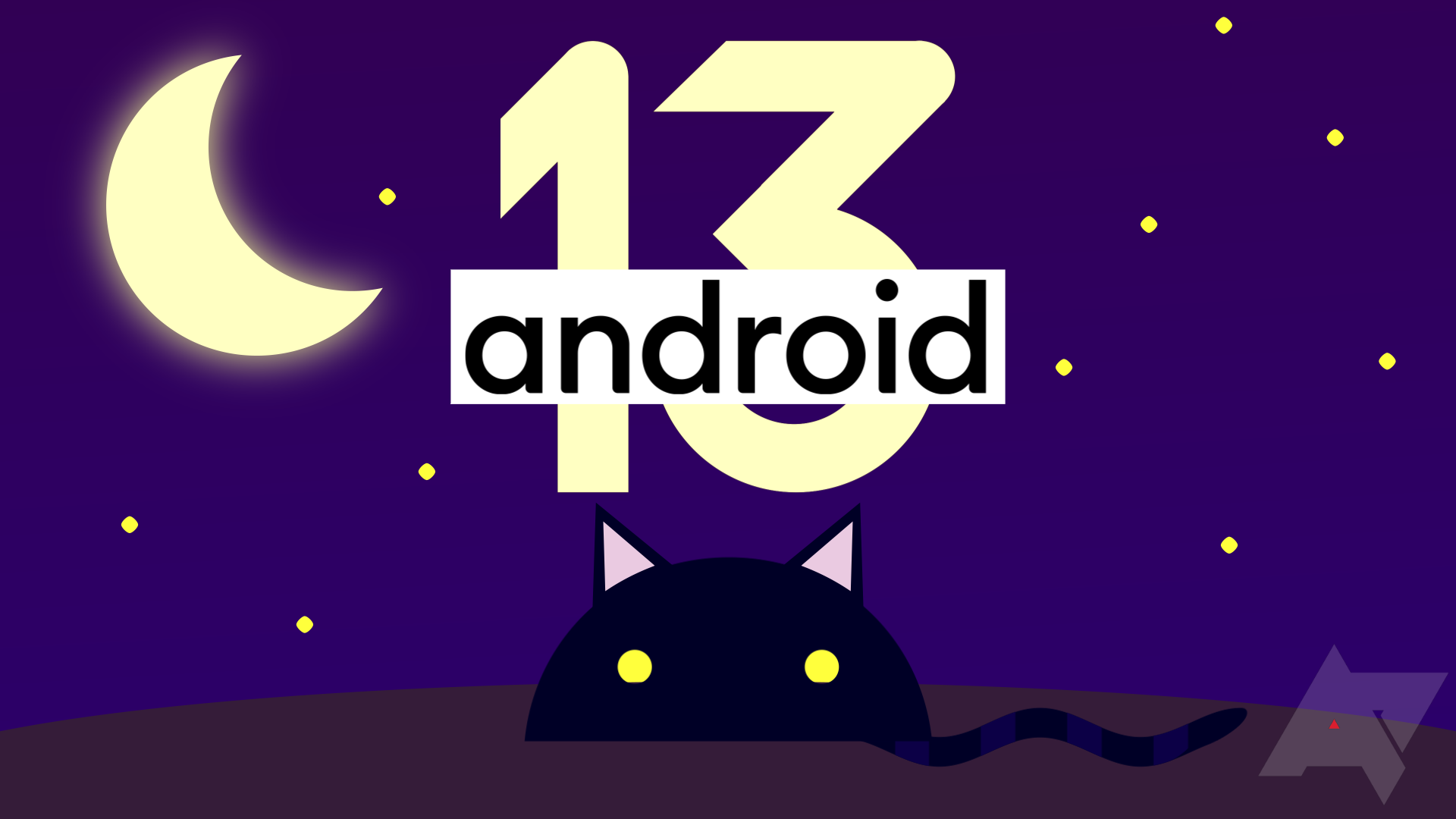 android-13-generic-blackcat-hero-1