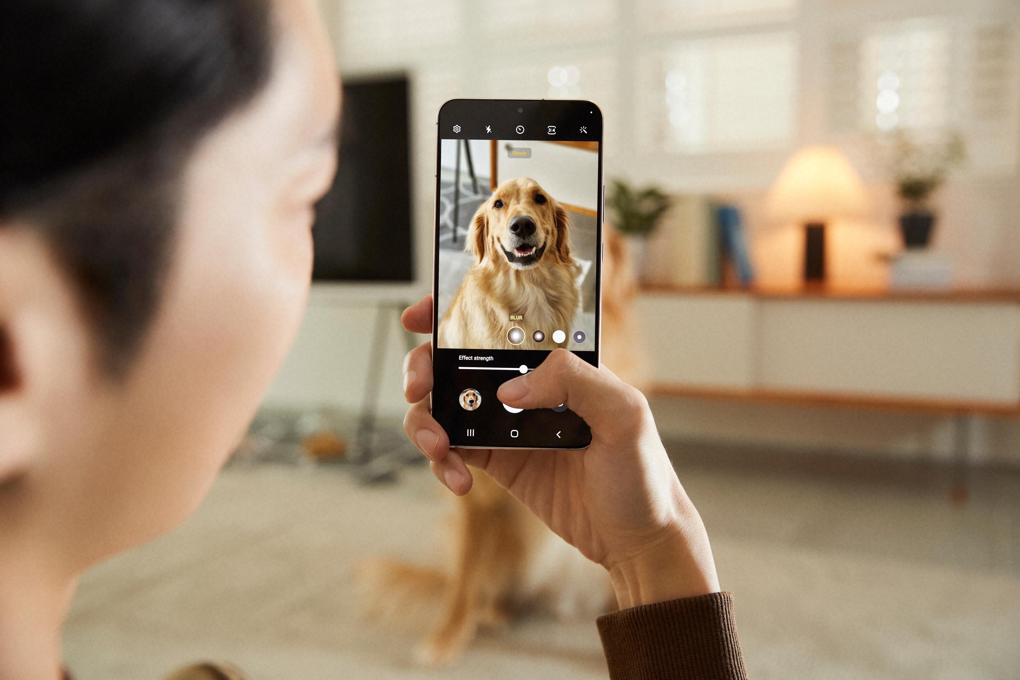 Someone taking a picture of a Golden Retriever with a Samsung Galaxy S22