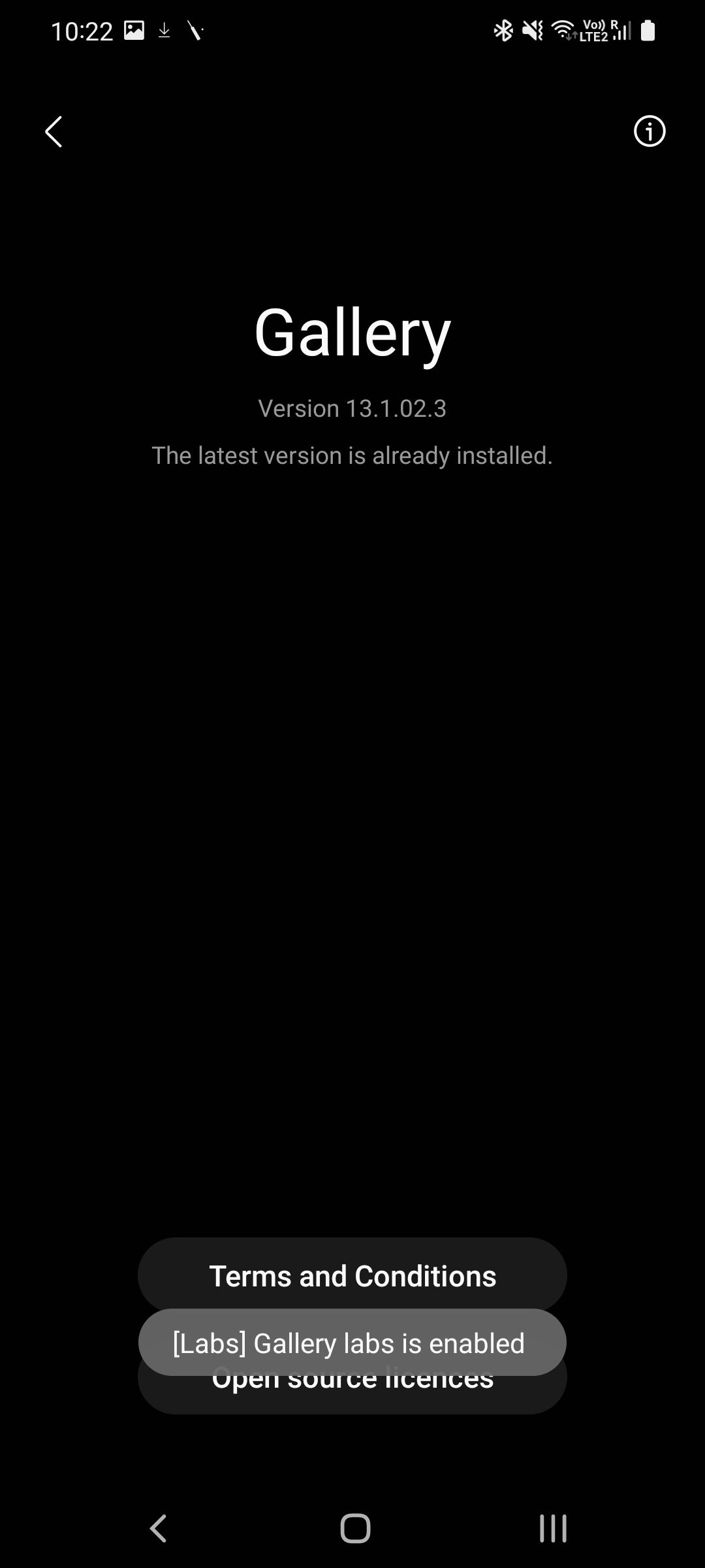 The Samsung Gallery app version number with the Gallery labs is enabled toast notification