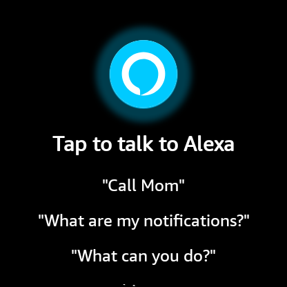 Wear os best sale alexa app