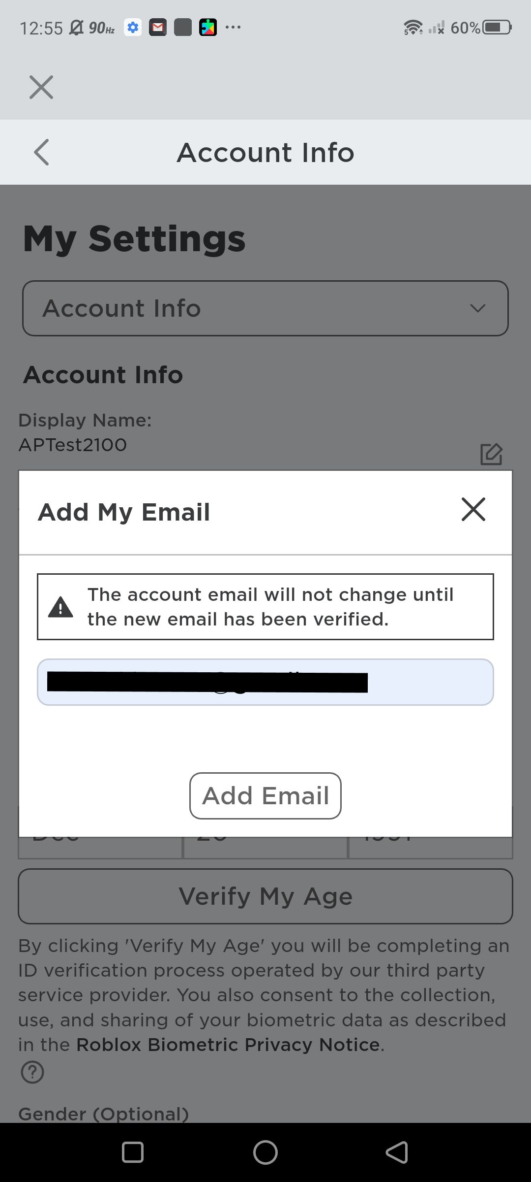 Screenshot of adding a verification email (1)