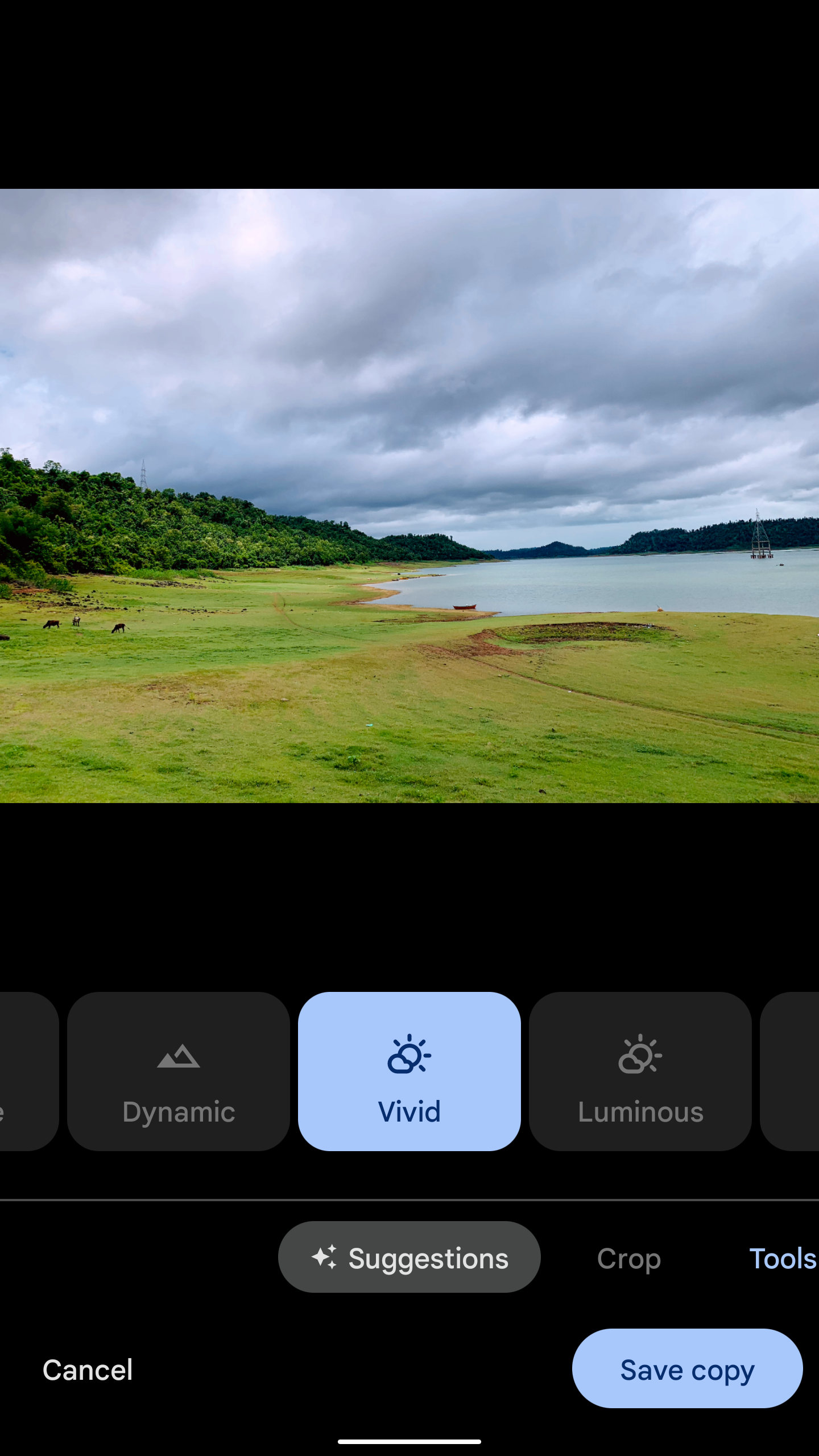 A screenshot of Google Photos showing quick presets.