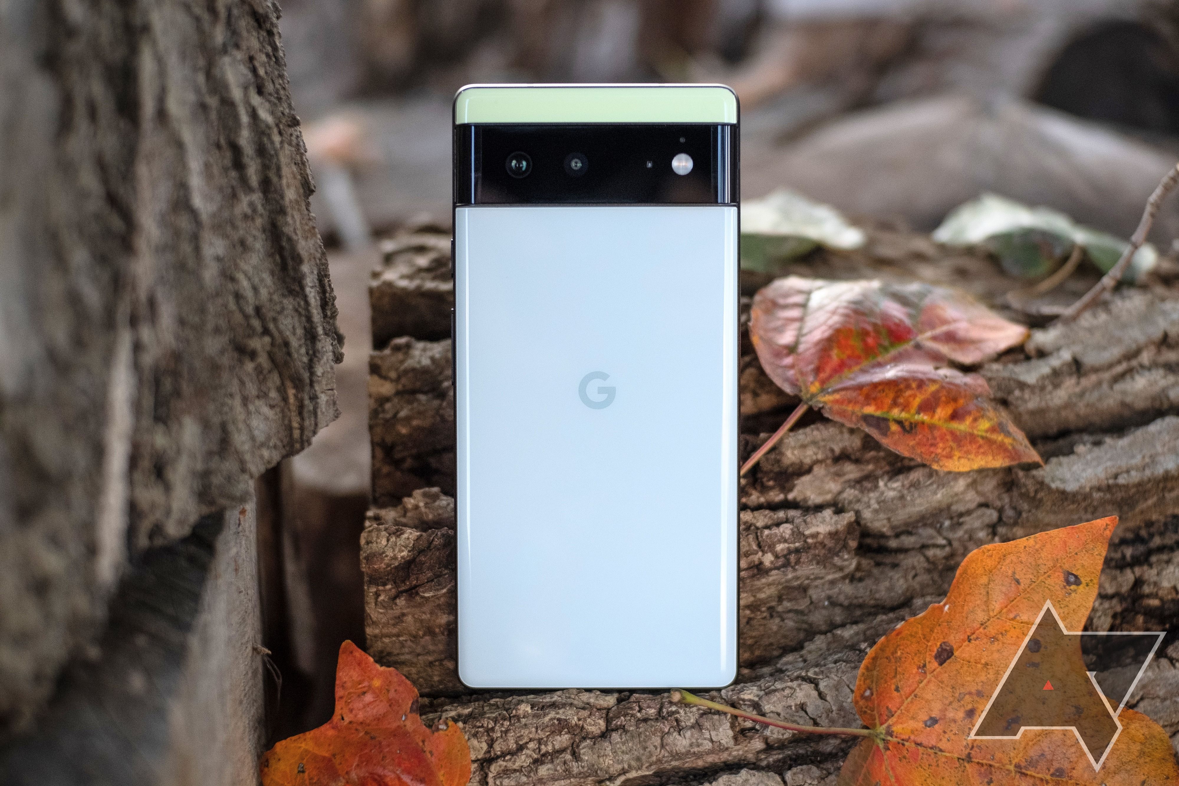 Pixel 6 review: Google Hardware finally lives up to its potential