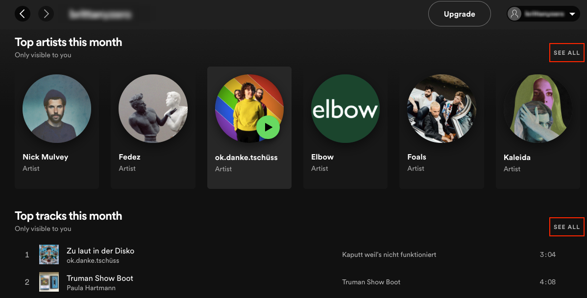 Spotify desktop screenshot showing top tracks and artists