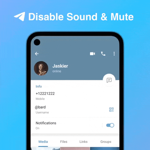 telegram custom mute durations-anim