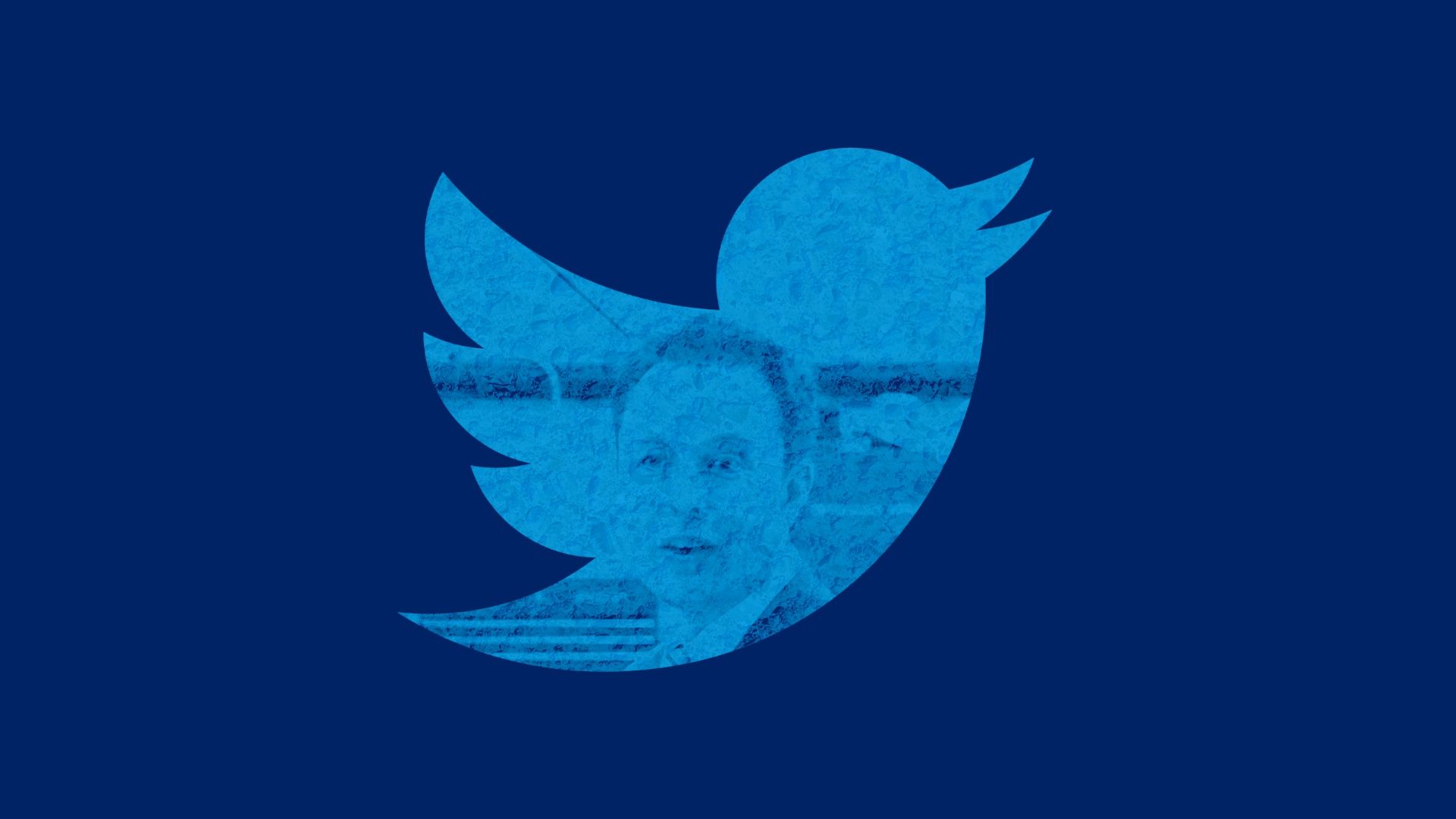 The Twitter logo with an image of Elon Musk inside the logo