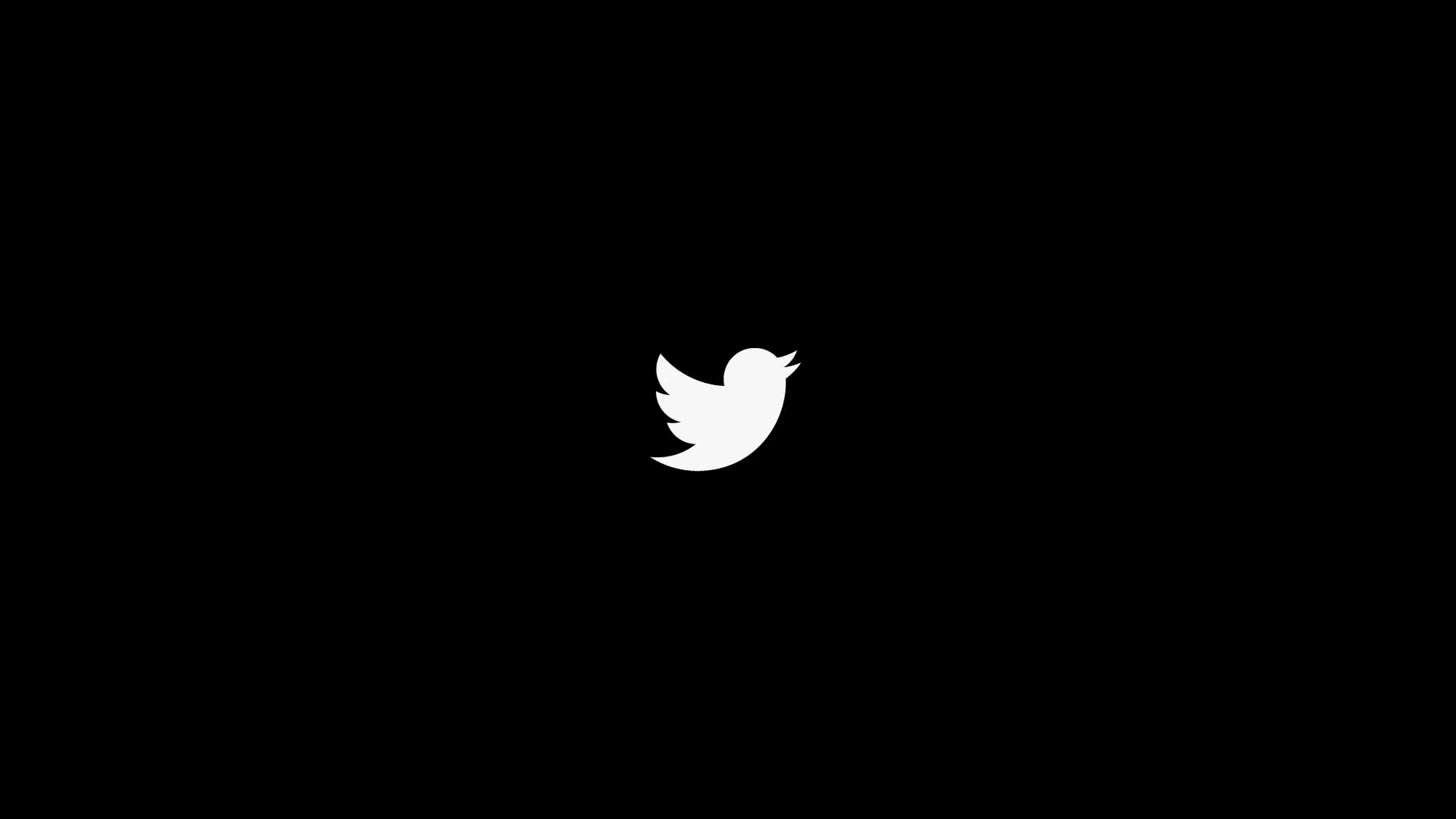 Twitter logo white on gloomy