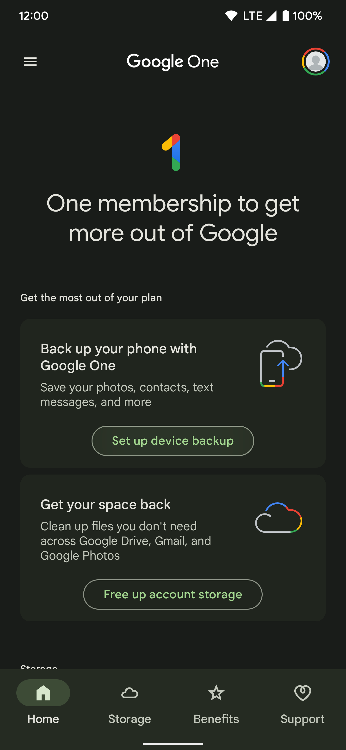 The main home screen on the Google One app