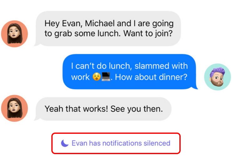iMessage chat window with notifications silenced notification