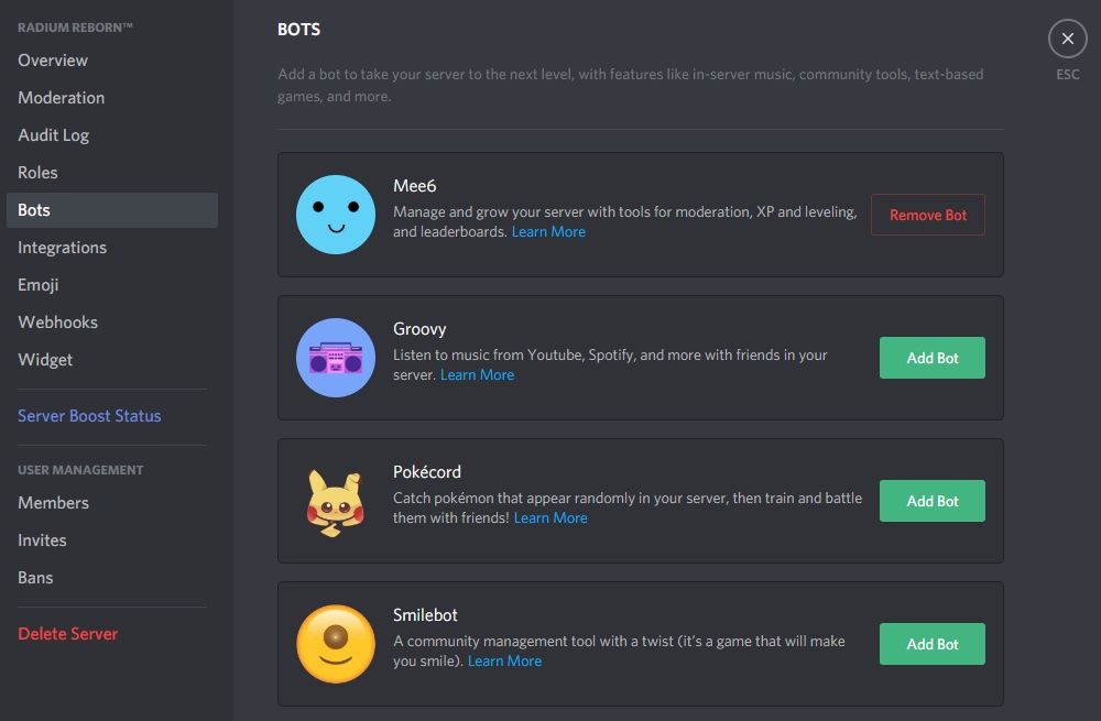 How to create a Discord Bot