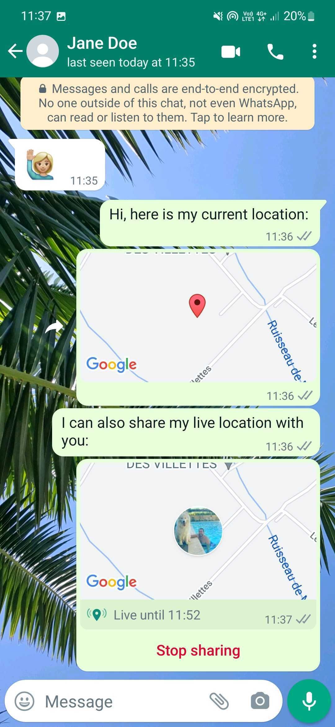 Captura de tela de uma conversa do Whatsapp com compartilhamento de localização