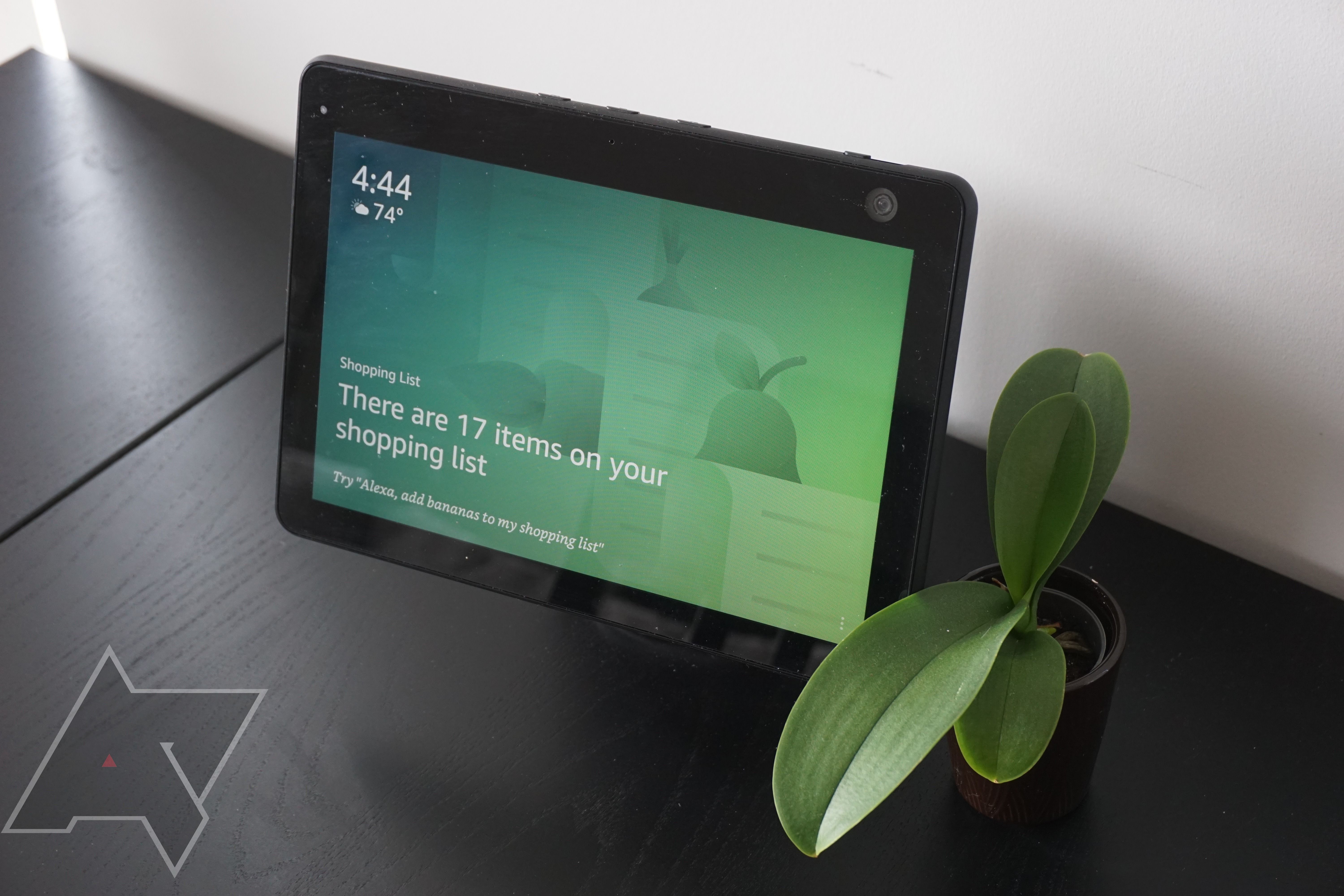 Picture of an Echo Show 10 next to a small plant