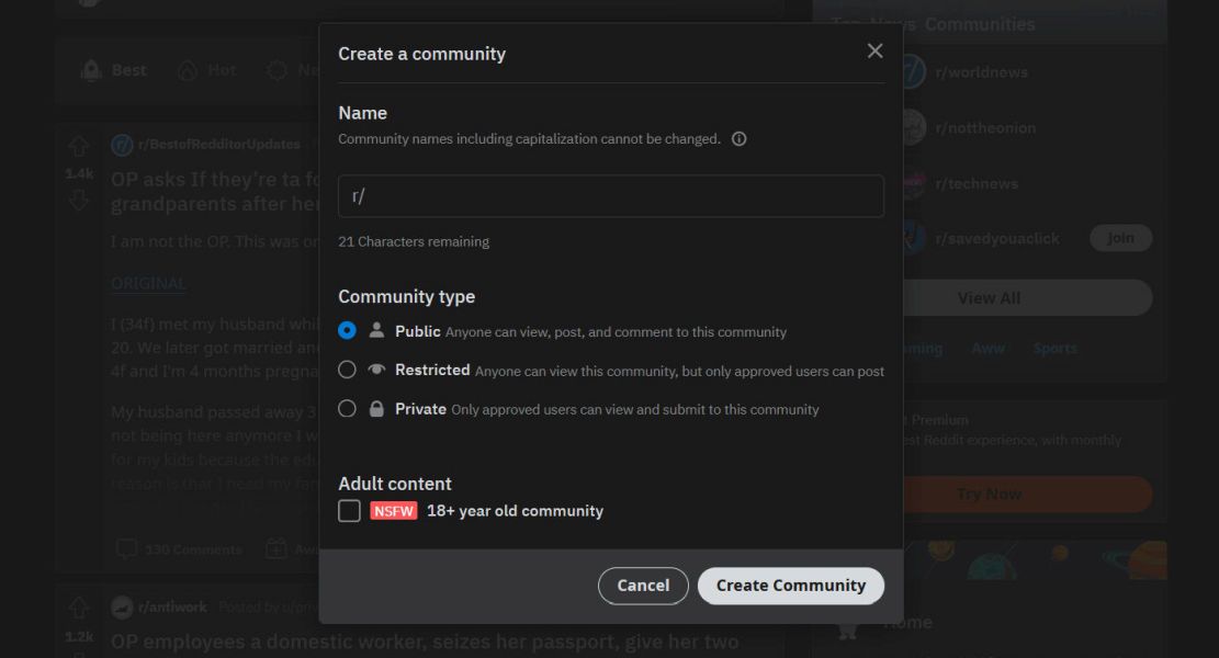 Screenshot of the Create community page on Reddit
