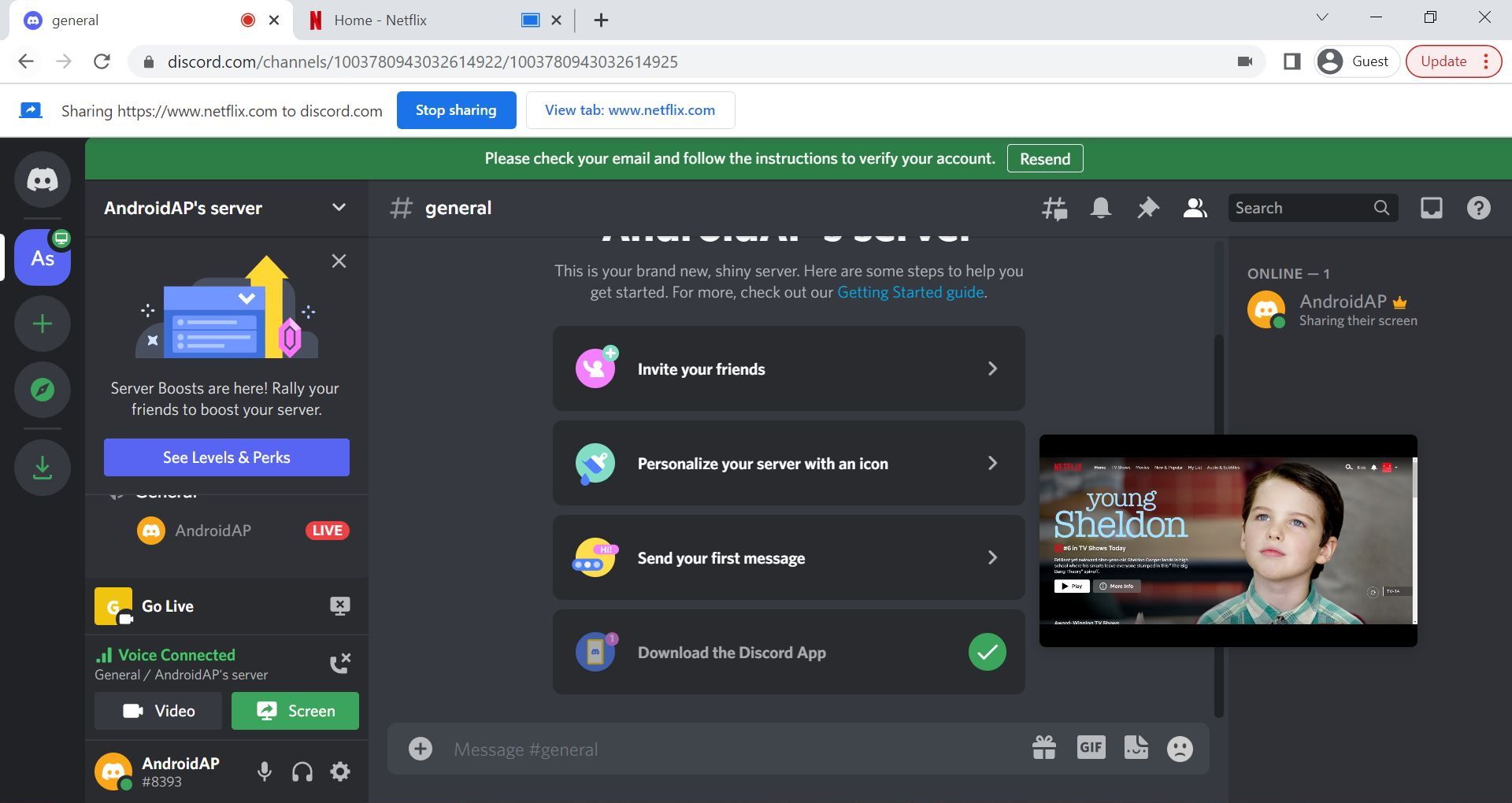 Discord: How to screen share from your Netflix account