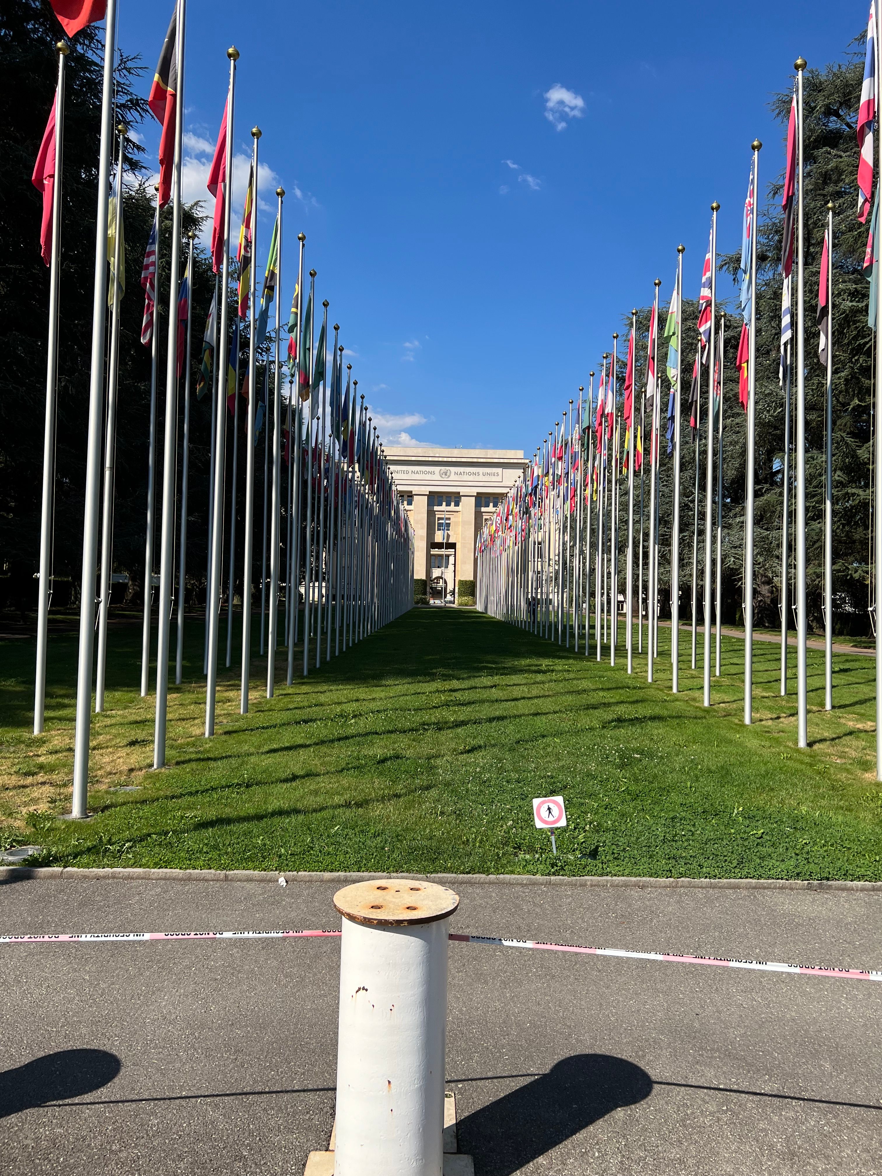 A photo of two rows of flags on poles on a lawn