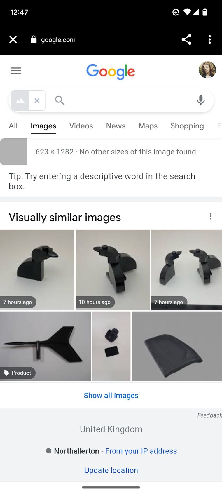 A screenshot of the Google Lens app's "Define" search feature is displayed. 