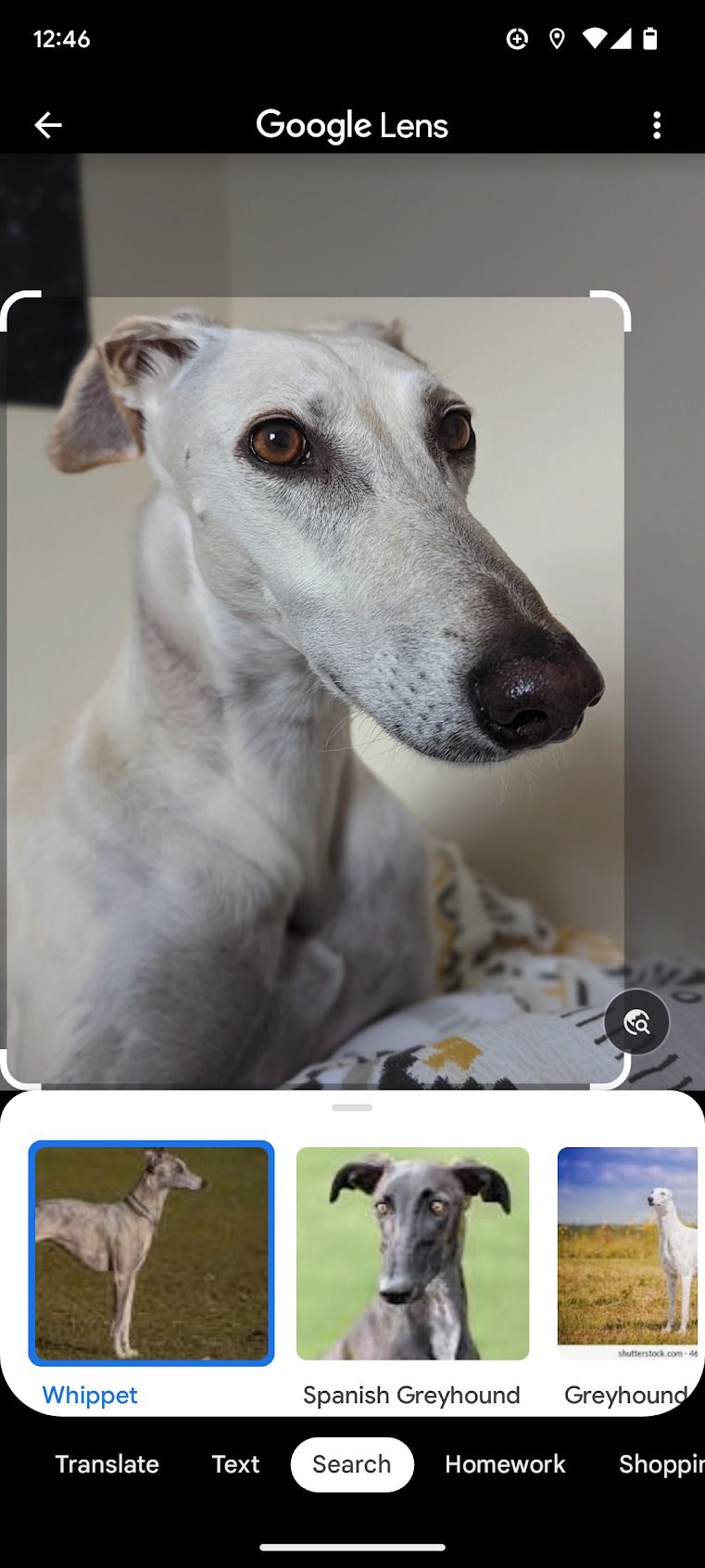 Finding information in a screenshot with Google Lens.